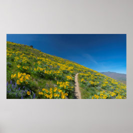 Poster Primavera Balsam Superbloom
