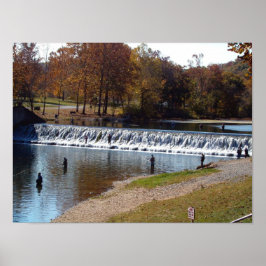 Poster Primavera Bennett