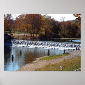 Poster Primavera Bennett