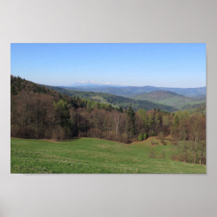 Poster Primavera Besboy Sadecki