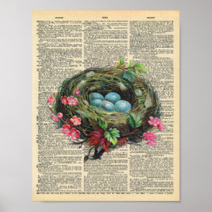 Poster Primavera Birds Nest na página do dicionário de 