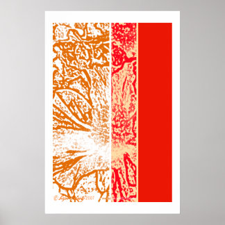 Poster Primavera Blossom