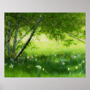 Pôster Primavera Daffodils