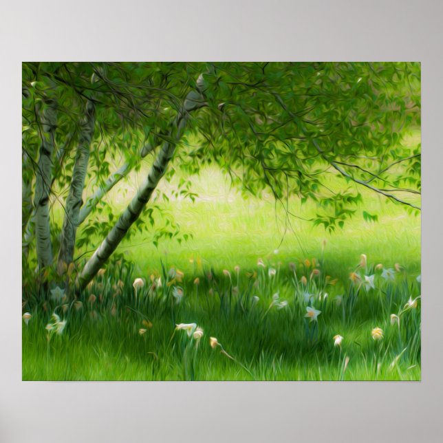 Pôster Primavera Daffodils (Frente)