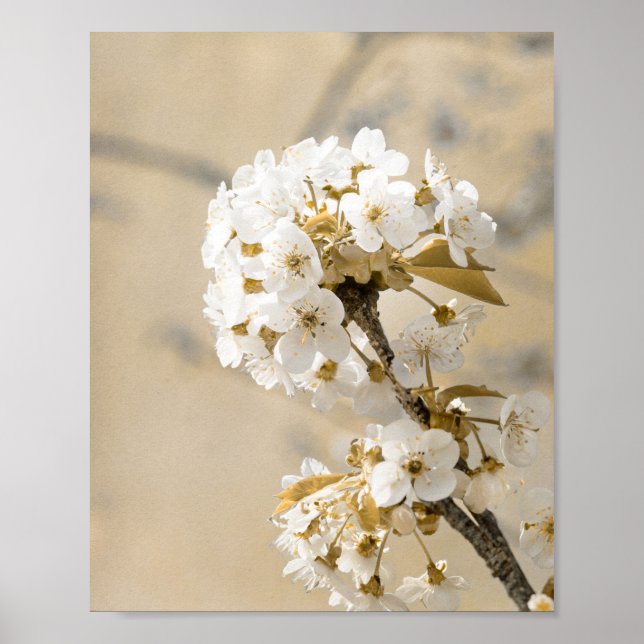 Poster Primavera Dancing Breeze (Frente)