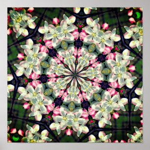 Poster Primavera de bonito brilha Abstrato de velocidade