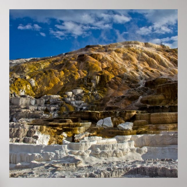 Pôster Primavera de Mammoth Hot (Frente)