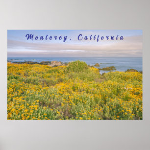 Poster Primavera de Monterey