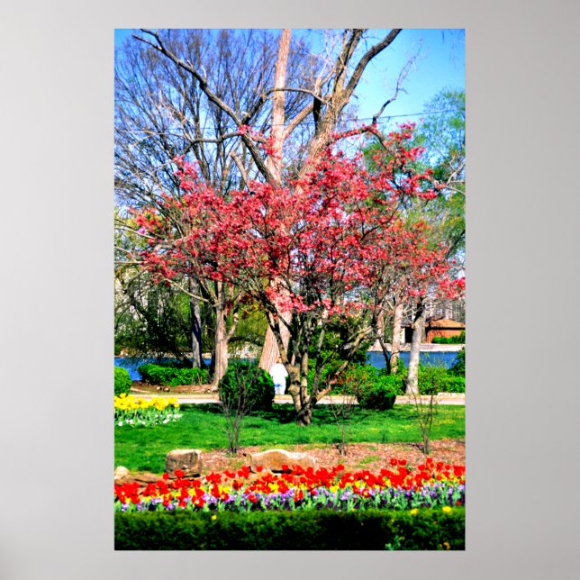 Pôster Primavera de Nashville (Frente)