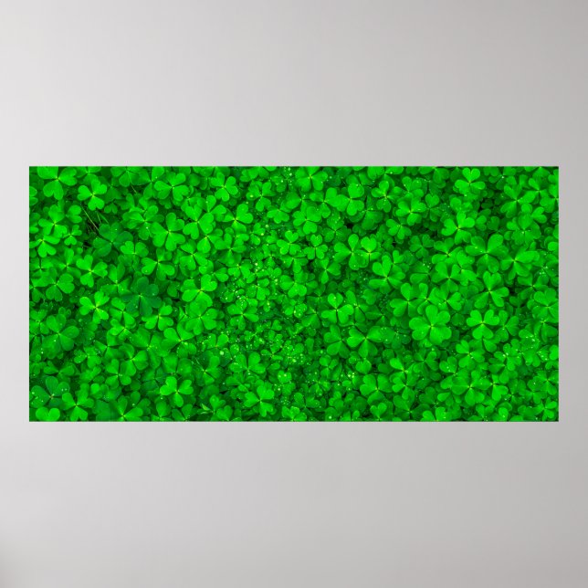 Poster Primavera de shamrock verde com trevo (Frente)
