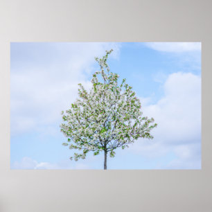 PÔSTER PRIMAVERA - FELZ PASCOA