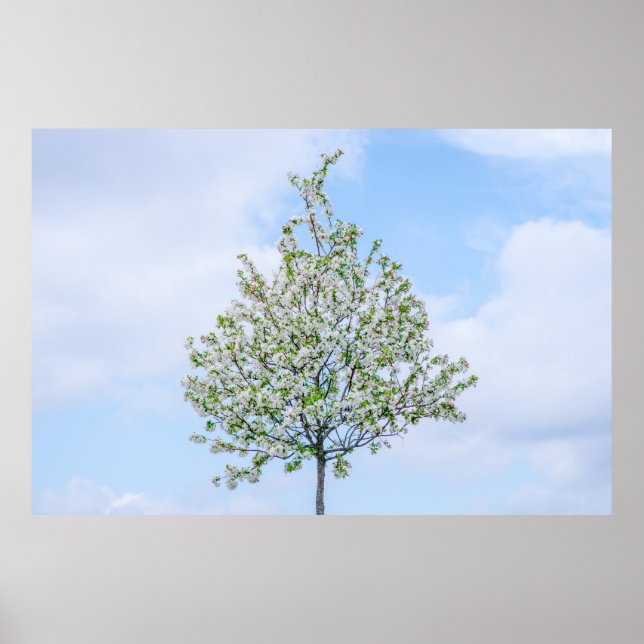 PÔSTER PRIMAVERA - FELZ PASCOA (Frente)