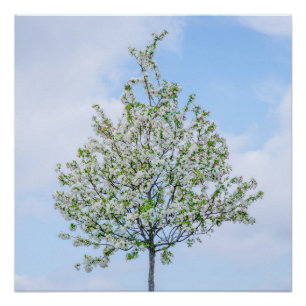 PÔSTER PRIMAVERA - FELZ PASCOA