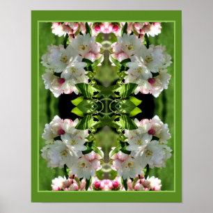 Poster Primavera Flower Crabapple Blossoms Abstrato