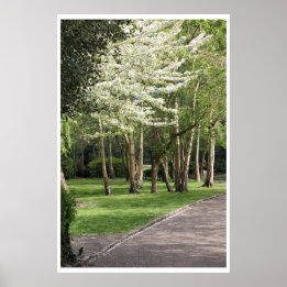 Pôster Primavera Irlanda