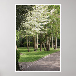 Pôster Primavera Irlanda