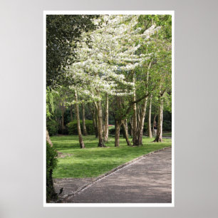 Pôster Primavera Irlanda