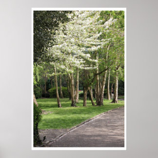 Pôster Primavera Irlanda