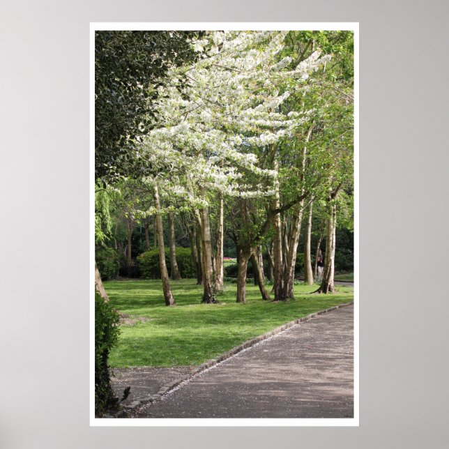 Pôster Primavera Irlanda (Frente)