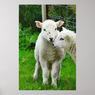 PÔSTER PRIMAVERA LAMBS