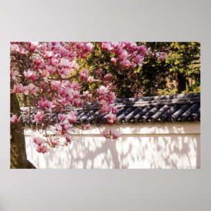 Pôster Primavera - Magnolia