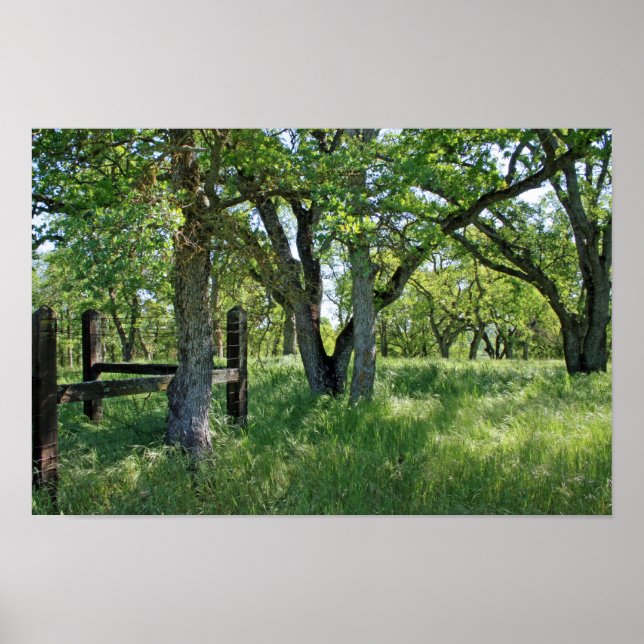 Pôster primavera Meadow (Frente)