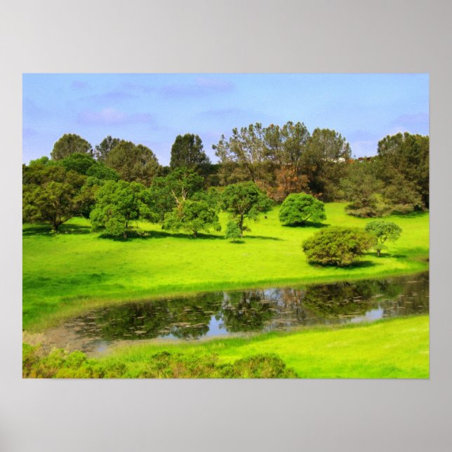 Pôster Primavera Meadow (Frente)