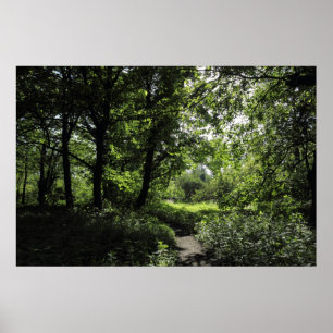 Poster Primavera na floresta 03