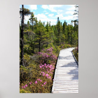 Poster Primavera no Bog Walk