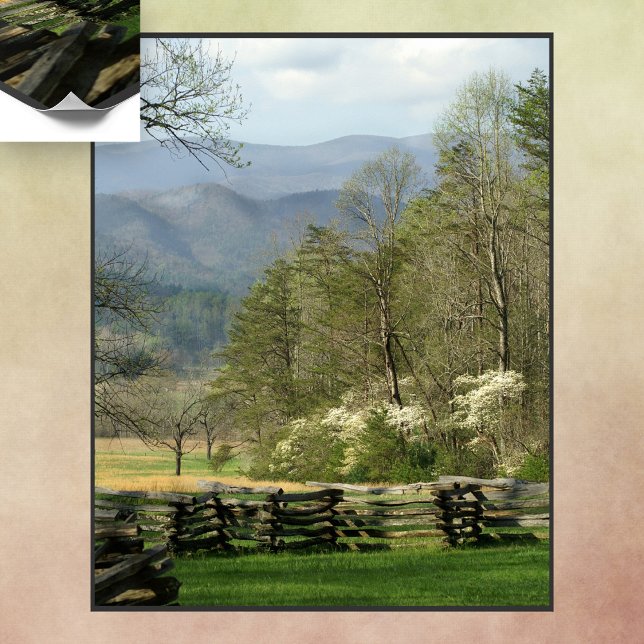 Poster Primavera no John Oliver Cabin (Criador carregado)