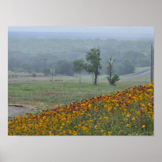 Poster Primavera no Texas