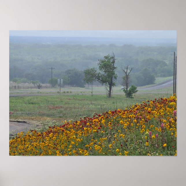 Poster Primavera no Texas (Frente)