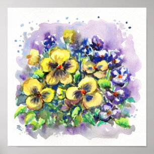 Poster Primavera Pansies