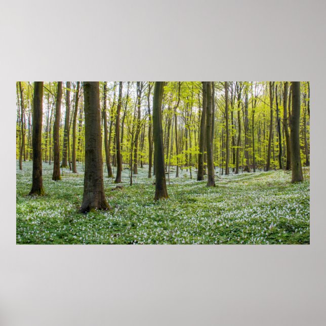 Poster Primavera para a vida (Frente)