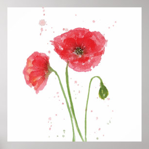 Poster Primavera Poppies
