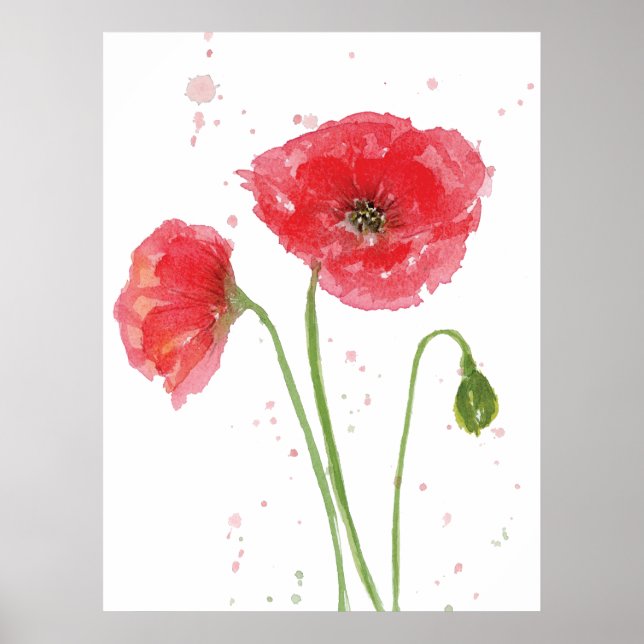 Poster Primavera Poppies (Frente)