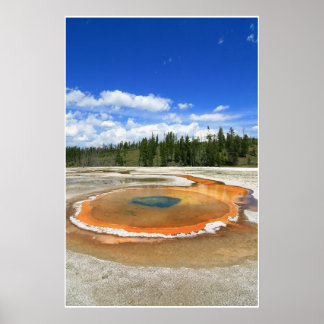 Pôster Primavera quente