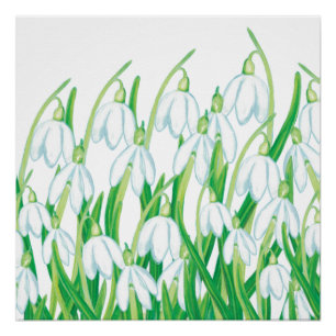 Pôster Primavera Snowdrops