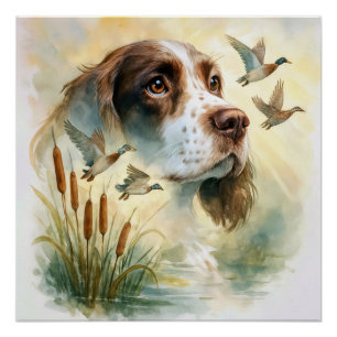 Pôster Primavera Spaniel e Mallard Ducks em dupla exposiç