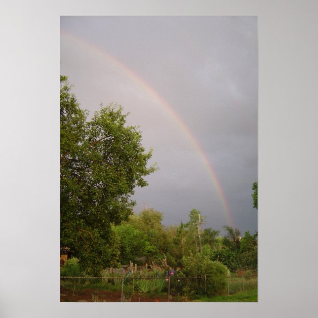 Pôster Primavera tarde (Frente)