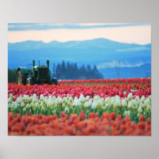 Pôster Primavera Trator
