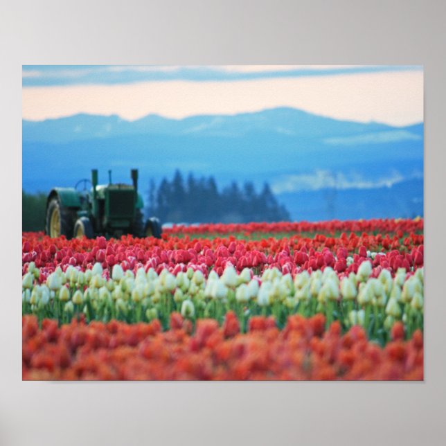 Pôster Primavera Trator (Frente)