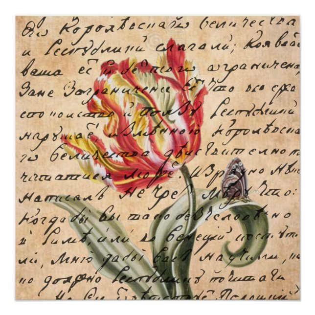 Pôster Primavera Tulipas e manuscrito (Frente)