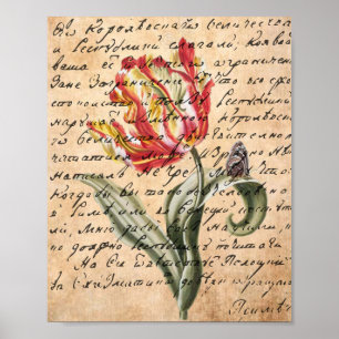 Poster Primavera Tulipas e manuscrito