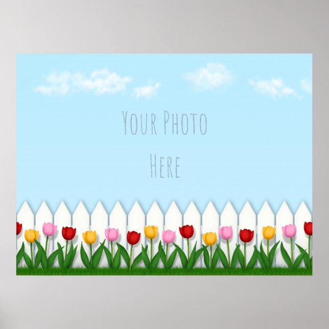 Poster Primavera Tulipas White Picket Fence Foto Personal (Frente)