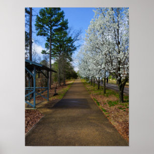 Pôster Primavera Walk