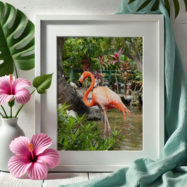 Poster Primaveras Bonita com Decoração Flamingo Rosa (Tropical gifts pink flamingo photography Wonder Gardens Bonita Springs by Victoria Grigaliunas)