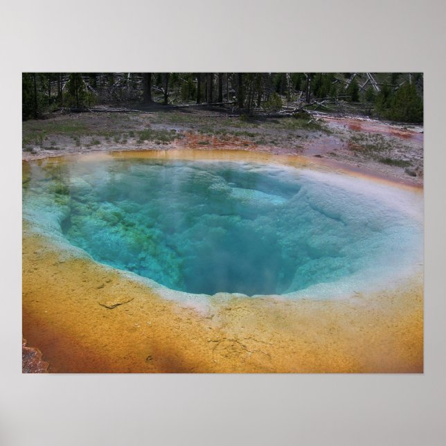 Pôster Primaveras de beleza (Frente)