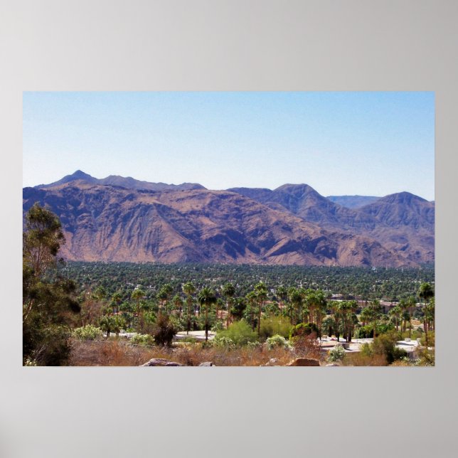 Pôster primaveras de palma (Frente)