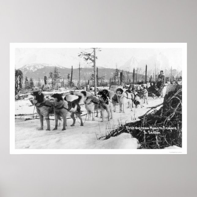 Pôster Primeira Equipe de Cachorros no Alaska 1910 (Frente)